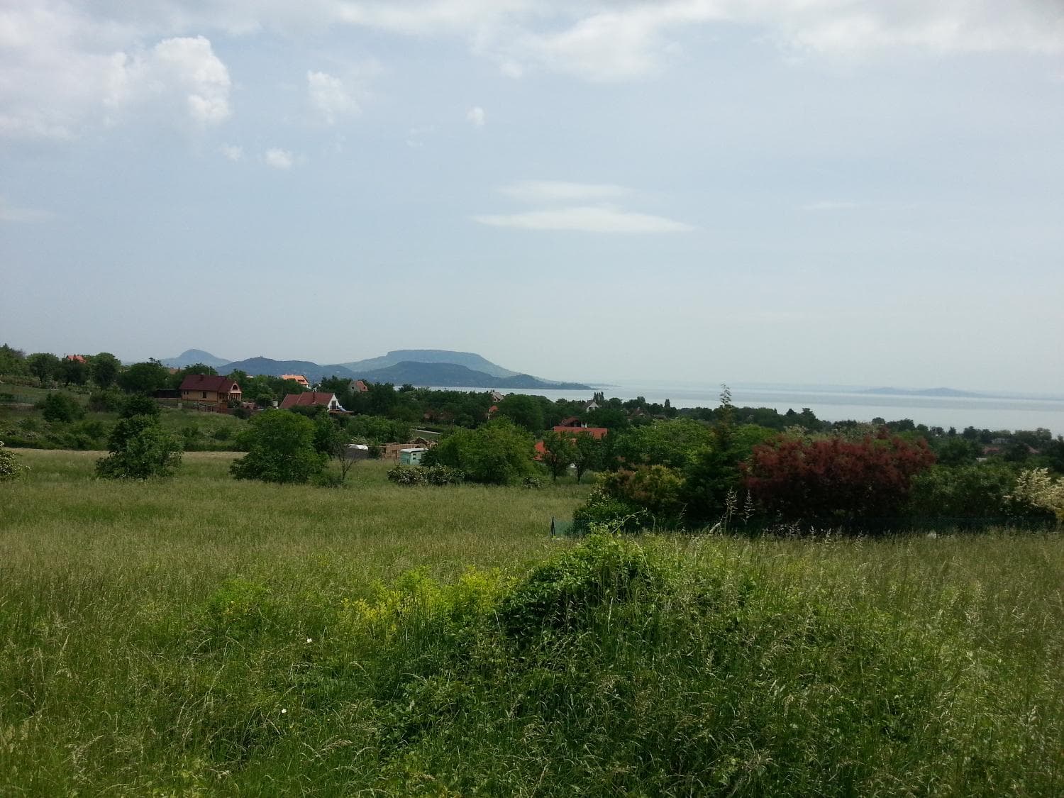 Objektbild