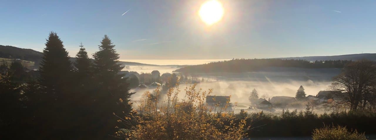 Exklusives Apartment mit Alpenblick im Hochschwarzwald