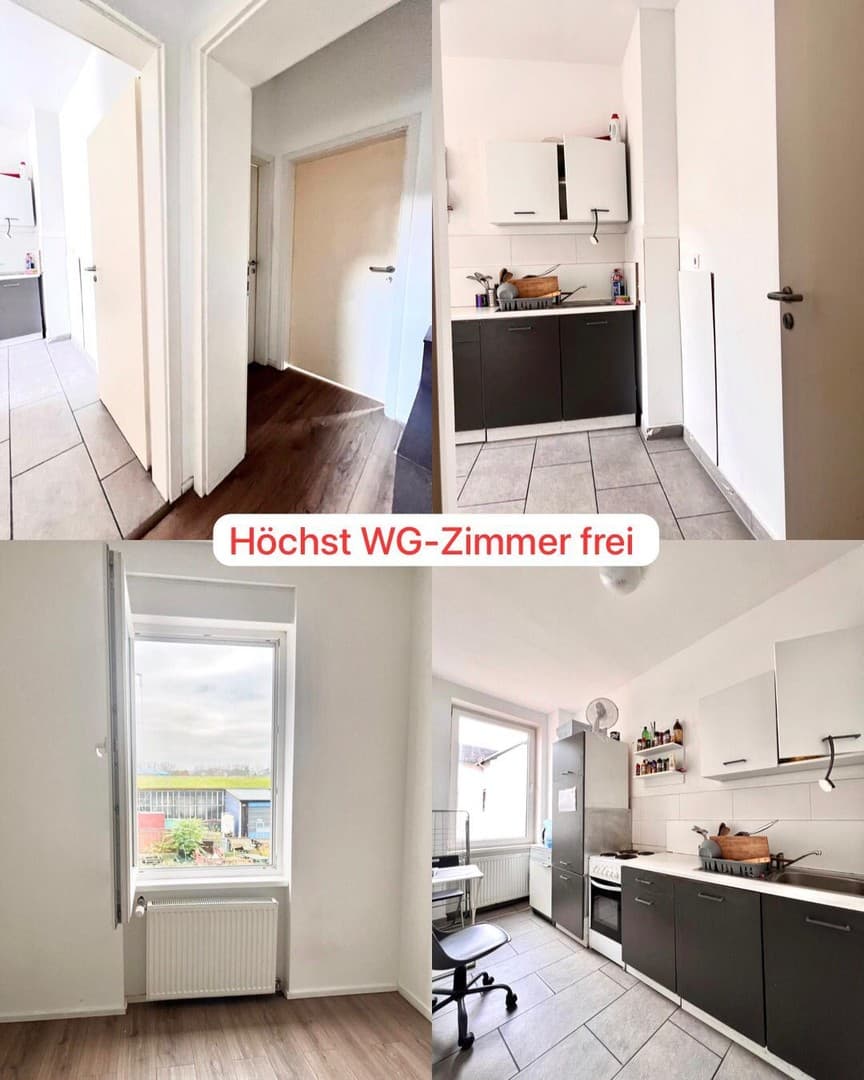 Frankfurt Höchst - WG