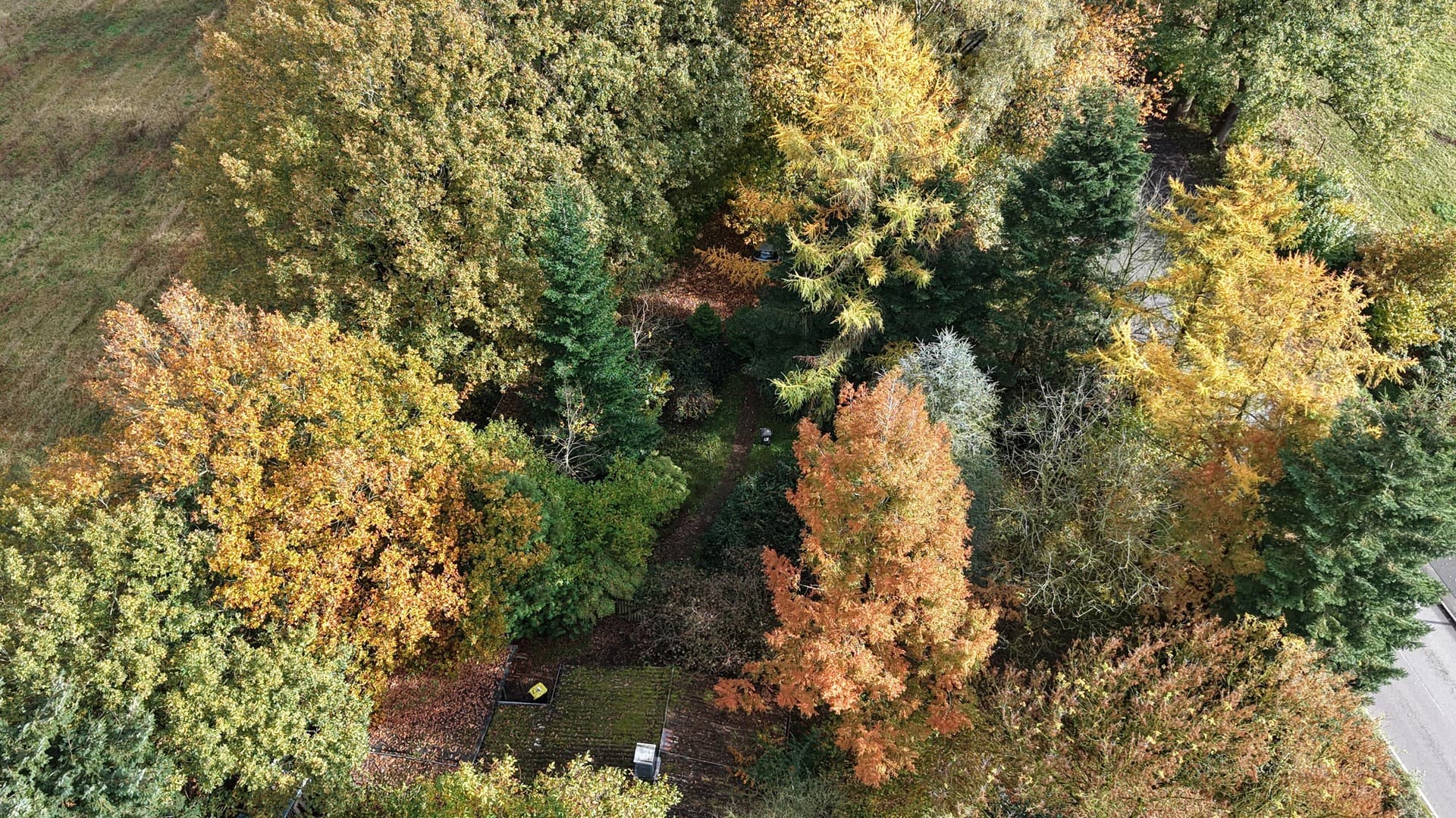 Freizeitgrundstück nähe Wardersee, Schöner Baumbestand