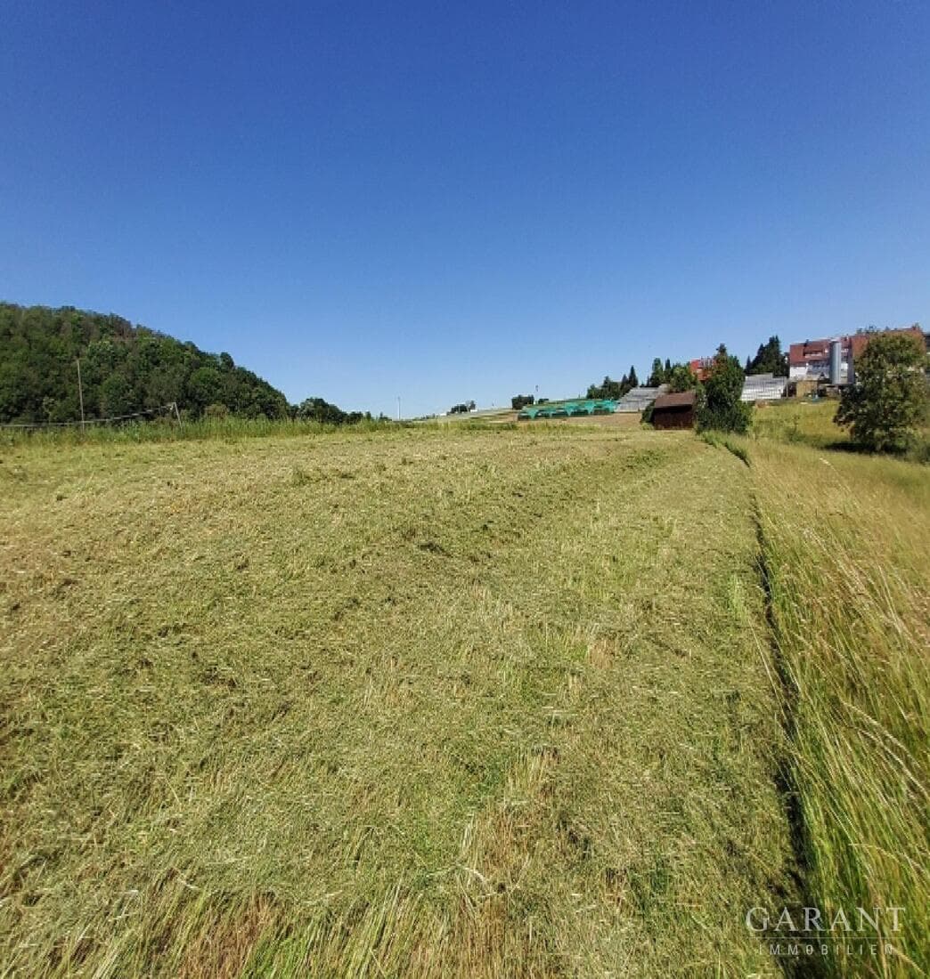 !!! Auf meiner Ranch bin ich König ... !!!