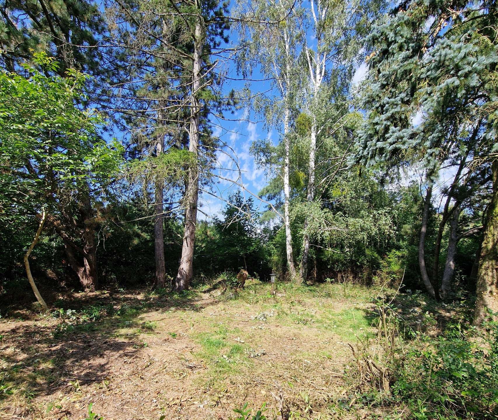 GRUNDSTÜCK - RUHIGE LAGE VON PETERSHAGEN/EGGERSDORF......