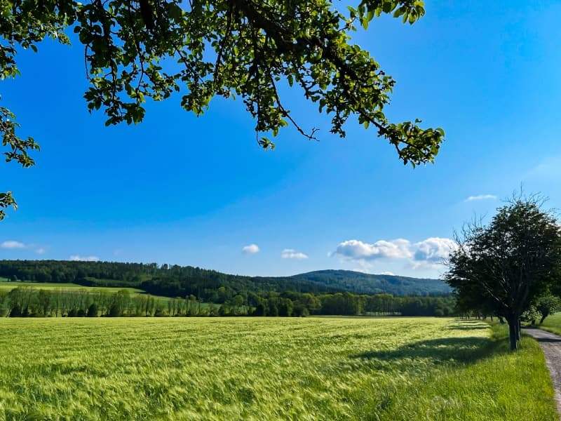 Drei Baukörper auf 100.000 m² Wald und Wiese - ein Paradies für Sie und Ihre Tiere!