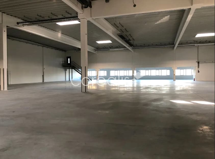 Köln | ca. 1.500 m² Hallenfläche | Rampen/ebenerdig | Freifläche | ab sofort