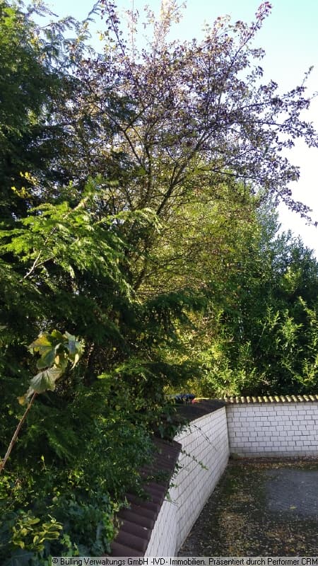 wohnung