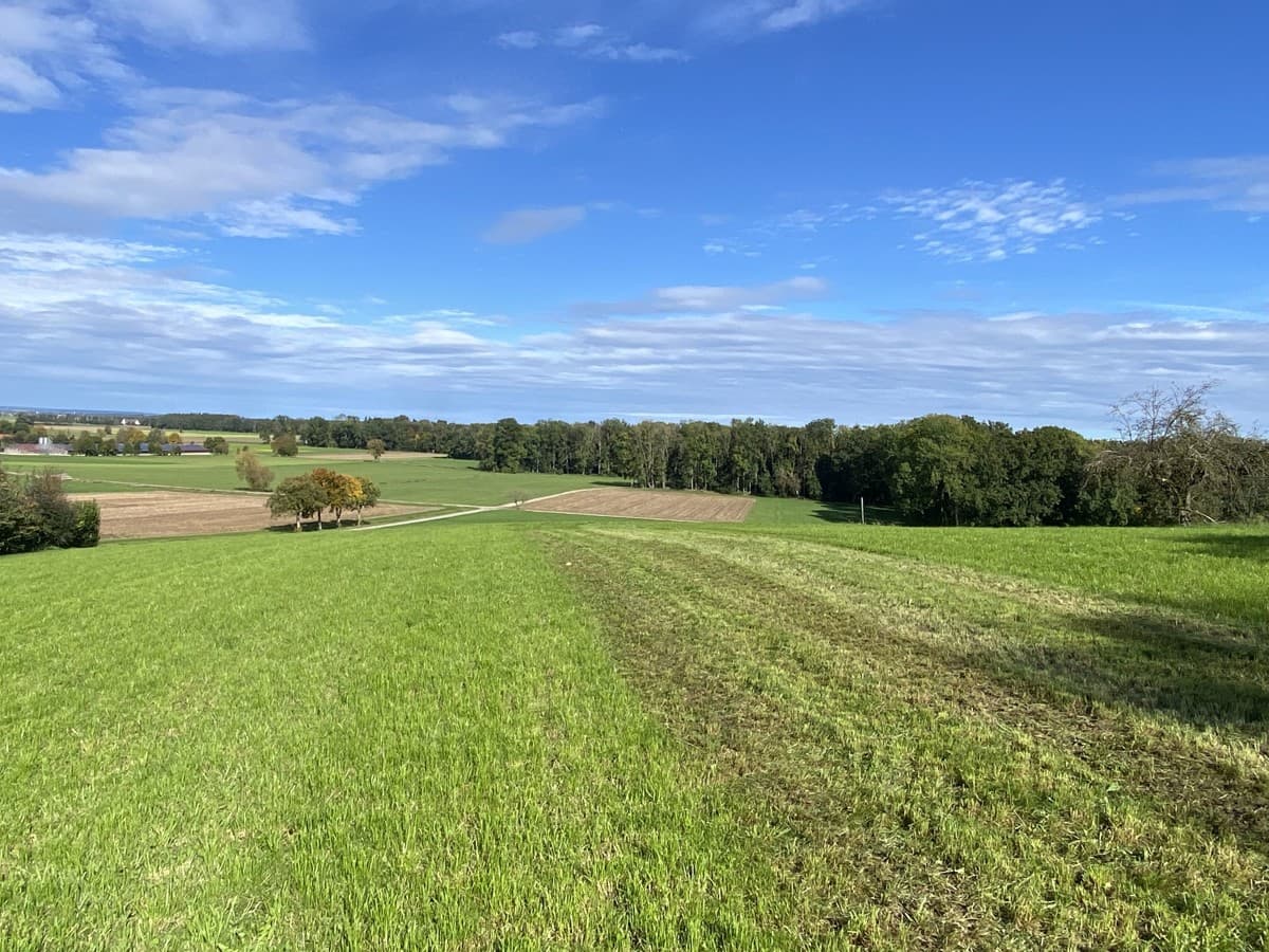 Einzigartiges Baugrundstück mit Wiese in Neu-Ulm/Holzschwang