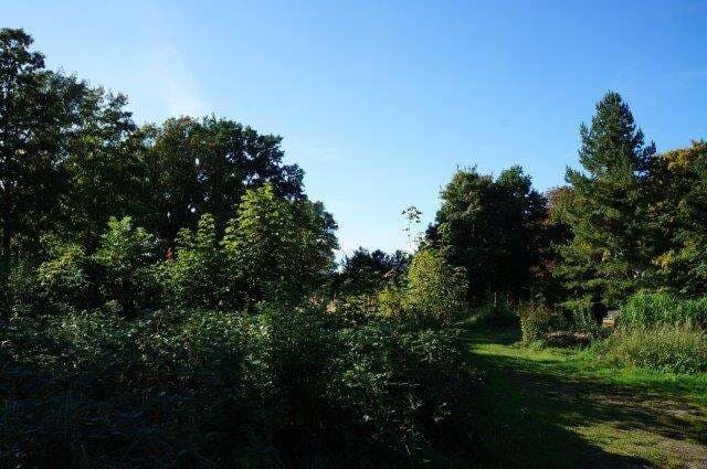 Baugrundstückt für Wohnbebaung mit B-Plan in Top Lage der Hansestadt Wismar (Var. 2)