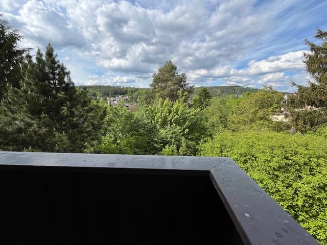 Zum Verkauf: ETW 3 Zimmer - Küche - Bad - Balkon - Stellplatz - Kellerraum - Gartenbereich in 96472 Rödental