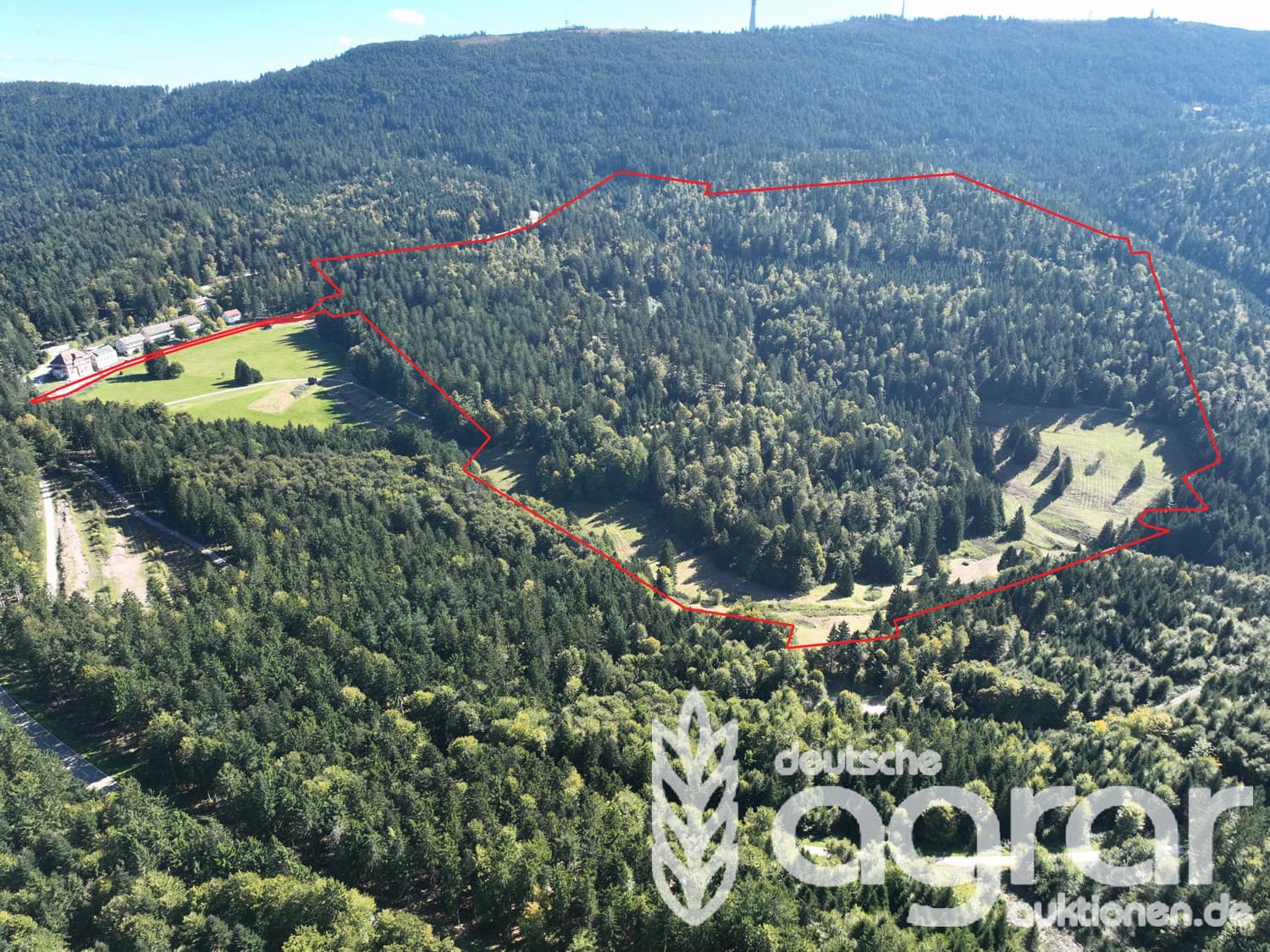 Ein Stück SchwarzWALD ca. 42 ha in der Nähe von Achern bei Sasbachwalden