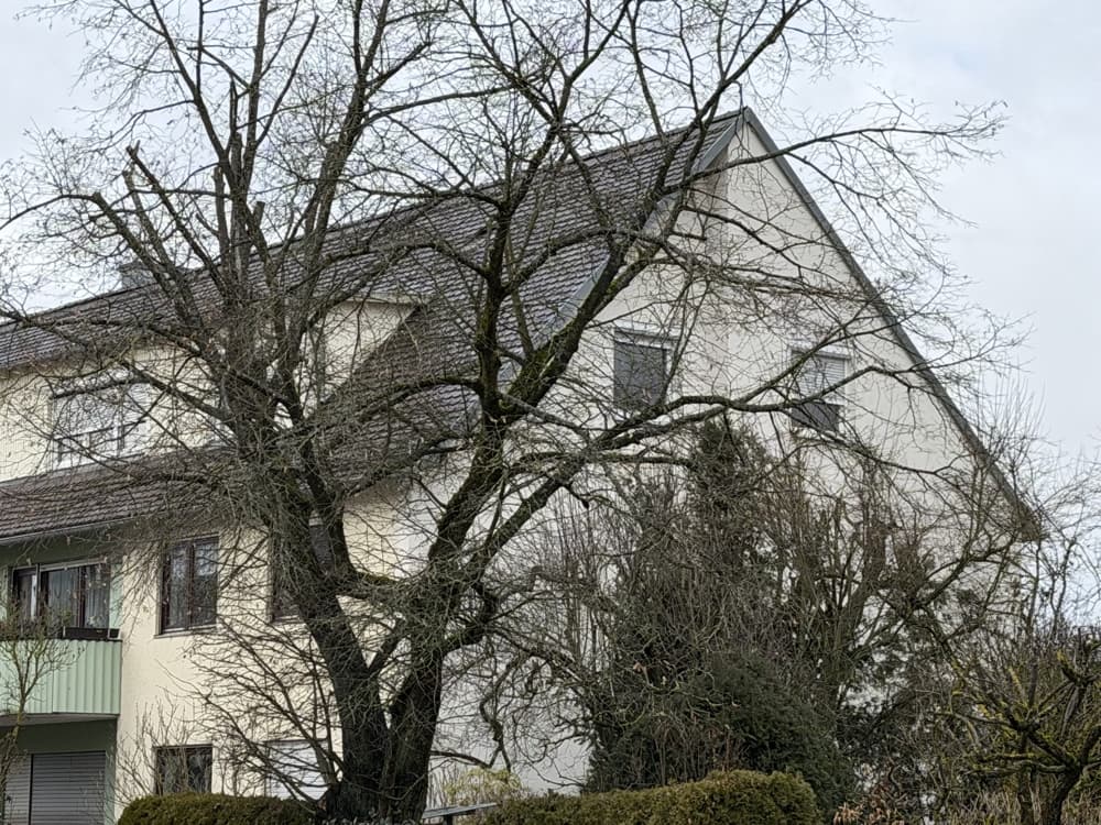 4-Zimmer-Eigentumswohnung in begehrter Wohnlage - WG tauglich