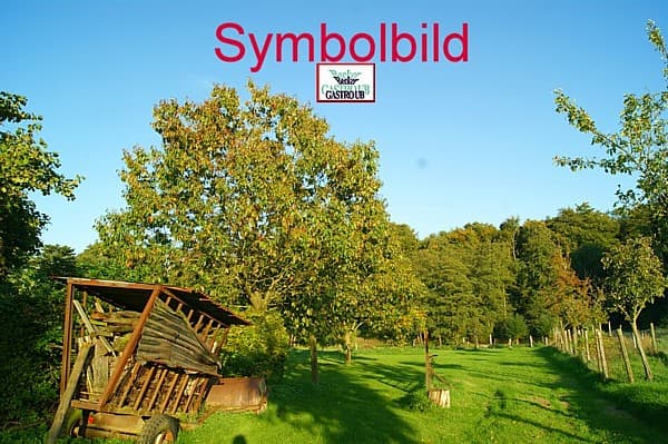 Eine Szenelokation zwischen Taubertal und Odenwald zum (Pacht)Kauf in Baden-Württemberg!