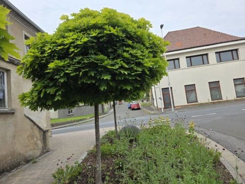 Großzügiges Wohnhaus in 96126 Ermershausen / Haßfurt (ID 10536)