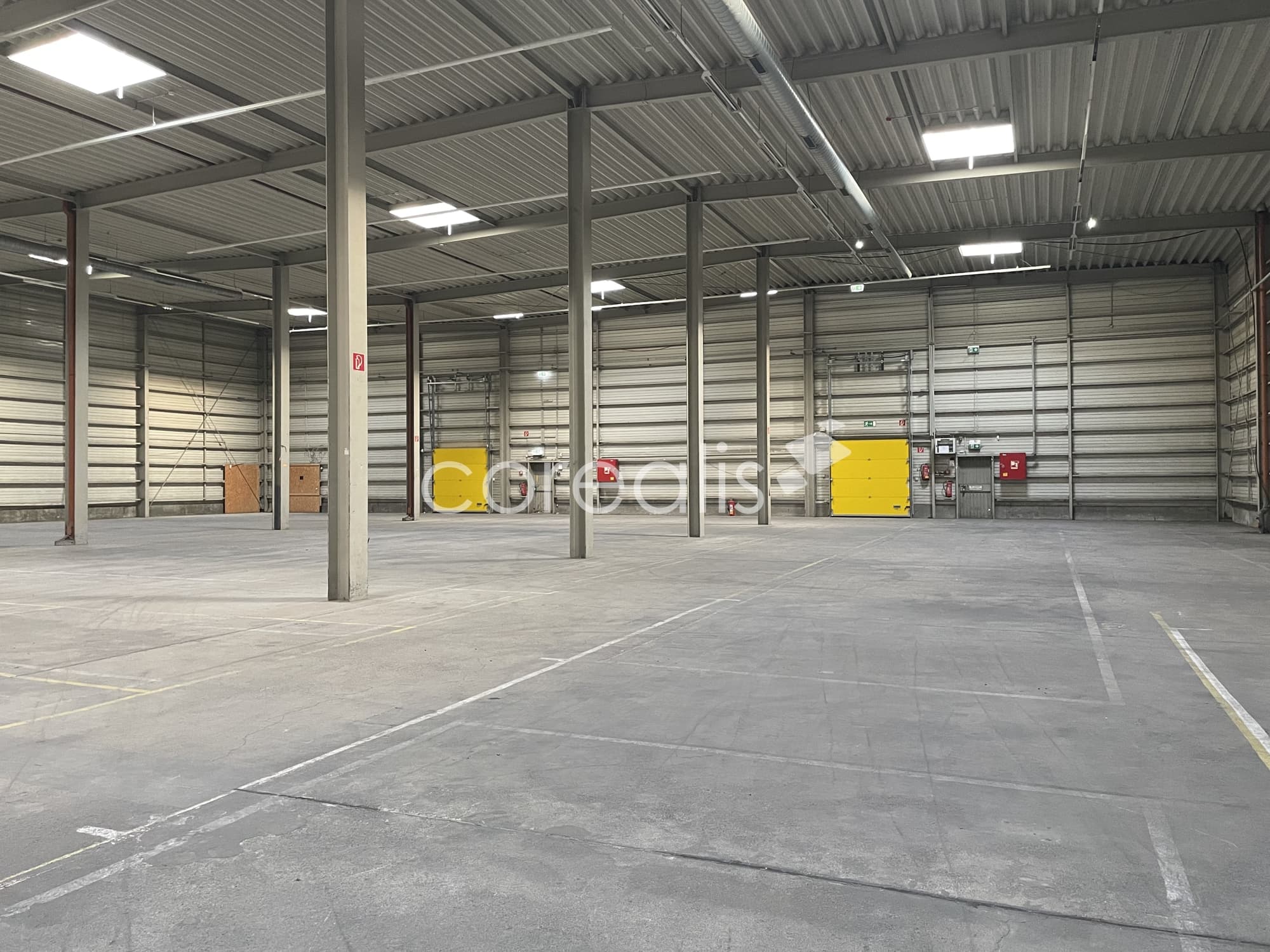 Lagerhalle | ca. 5.000 m² | ab sofort verfügbar | Rampen | Umschlag