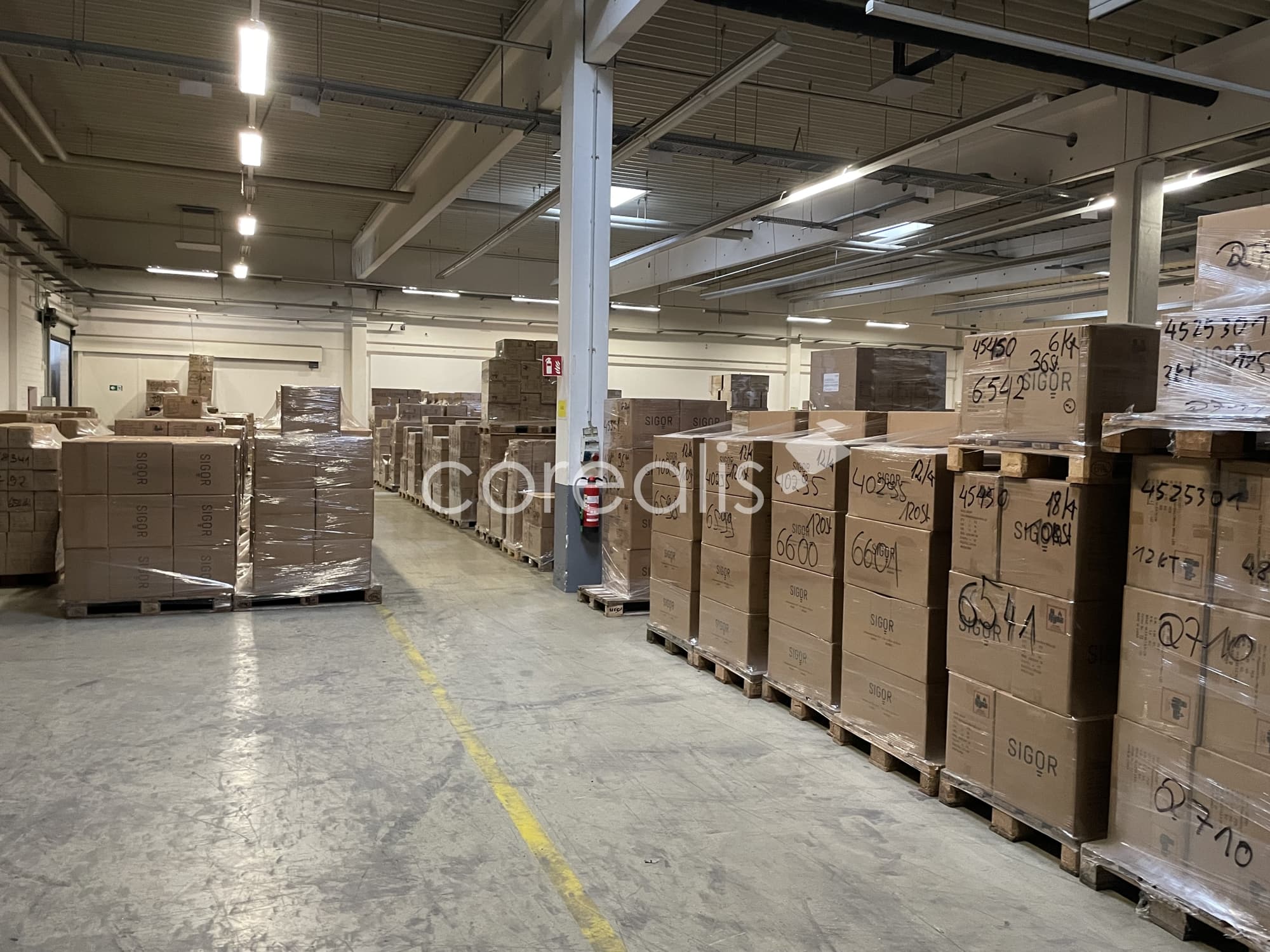 Lagerhalle in Bonn | ca. 5.500 m² | teilbar ab 2.850 m² | ebenerdiges Rolltor