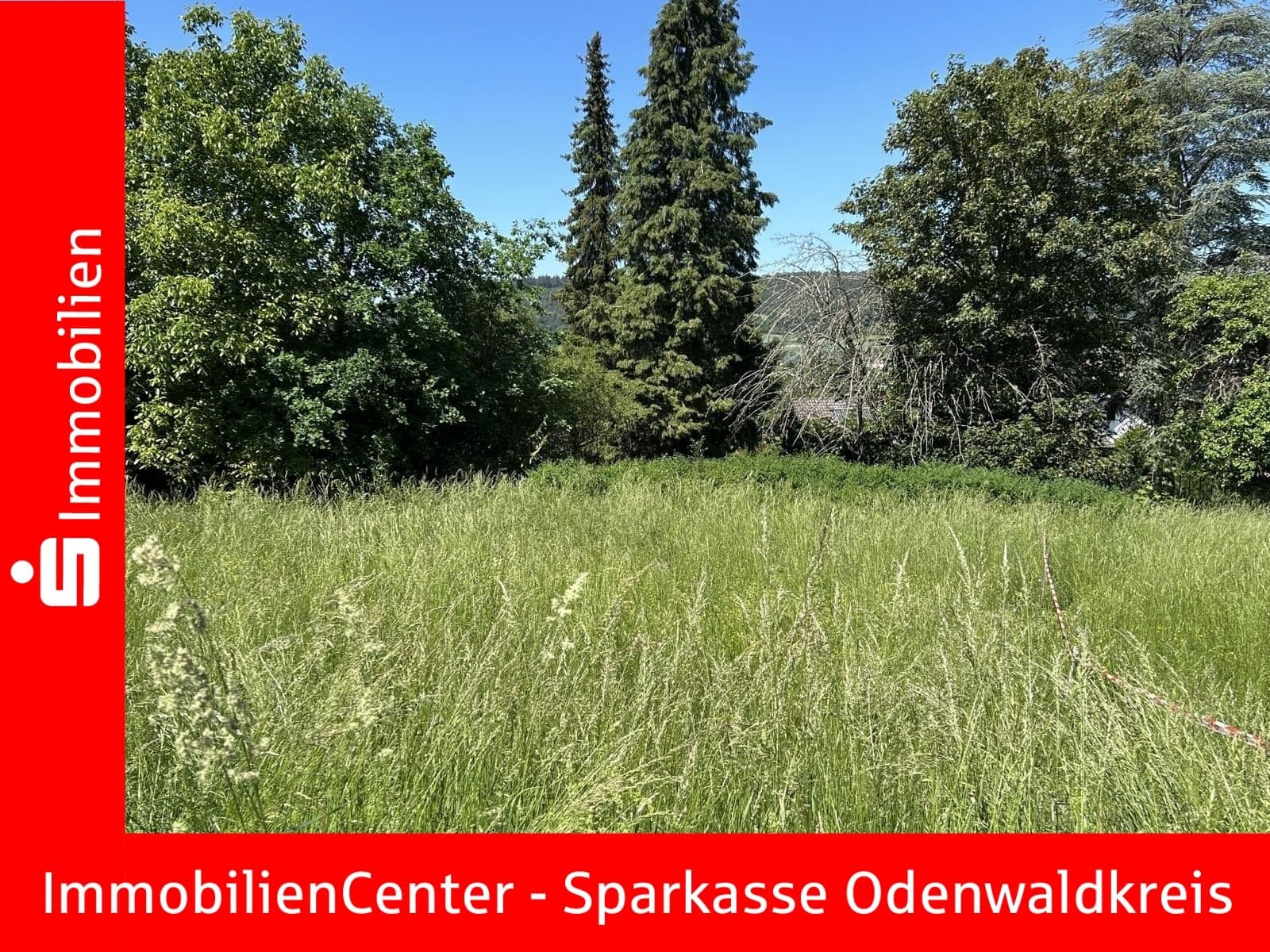 Ruhig und sonnig gelegen. Top-Grundstück in Höchst im Odenwald