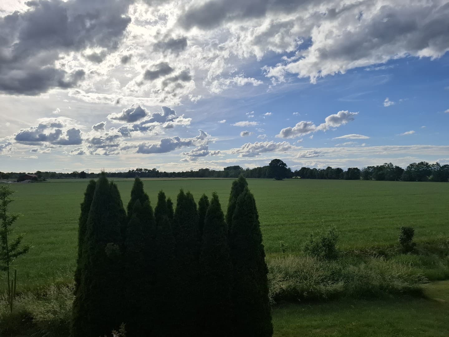 Ihr neues Zuhause: Viel Platz und ein herrlicher Blick ins Grüne