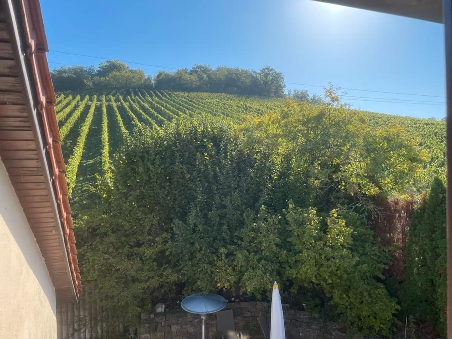 Hochwertiges Architektenhaus mit beeindruckendem Panoramablick am Fuße der Weinberge