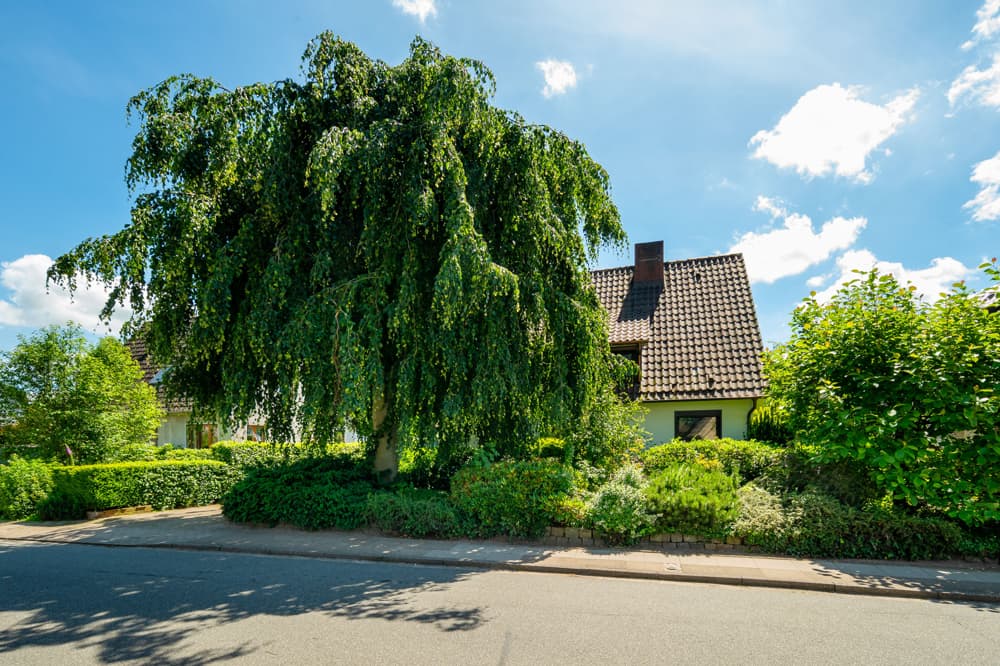 Top-Lage nahe Hamburg, parkähnliches Grundstück, interessanter Preis: Einfamilienhaus mit Potenzial.