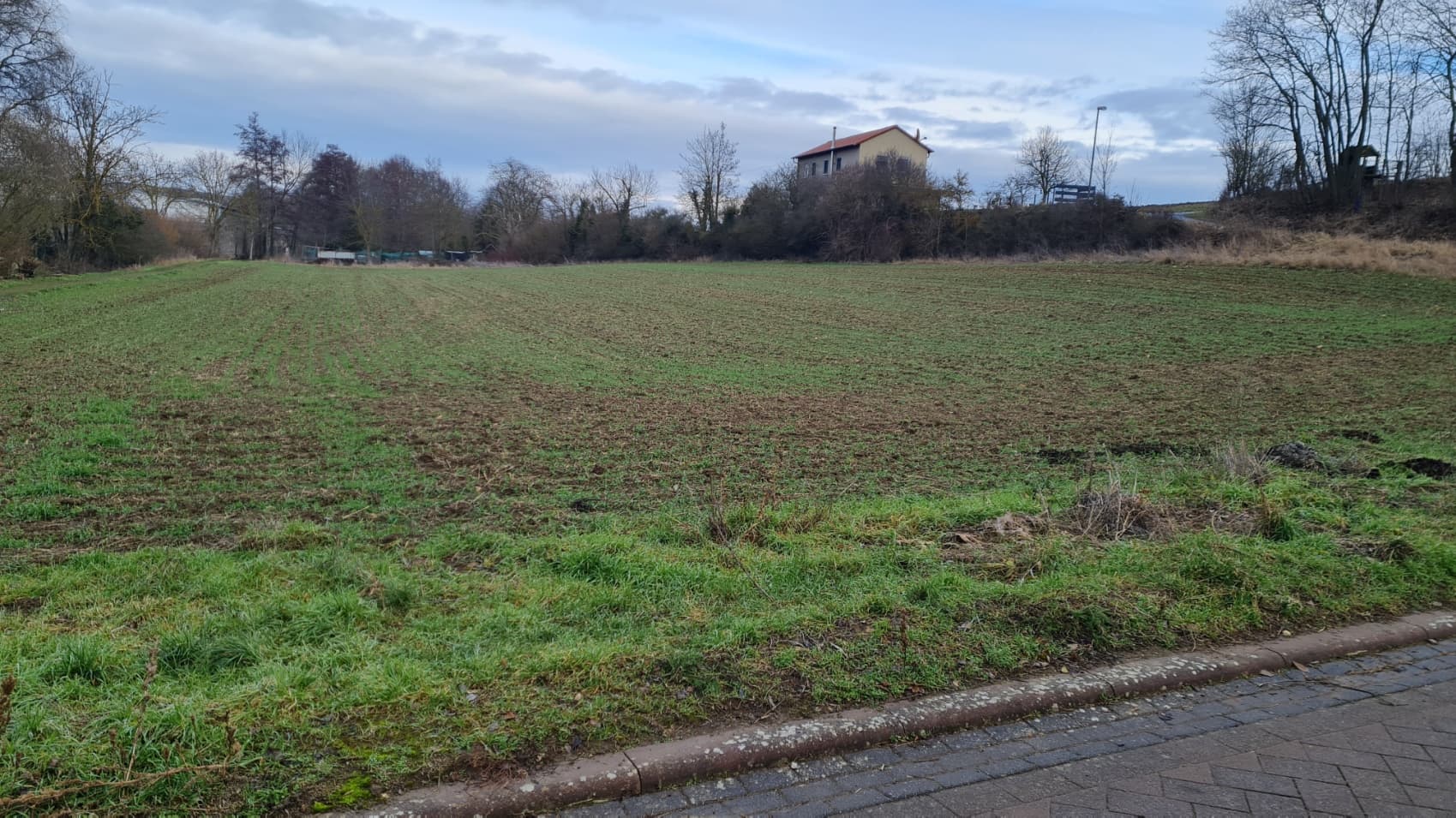 Resthof mit vielen Möglichkeiten, Baureserve und opt. Ackerland