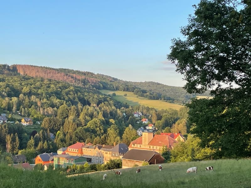 Ferienwohnungen in der Sächsischen Schweiz? Hier!