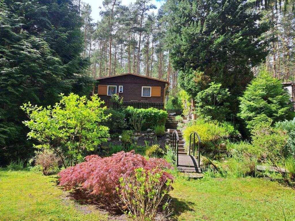 Sommer 2026 im eigenen Freizeitbungalow in ruhiger, idyllischer Waldlage von Coswig Möllensdorf