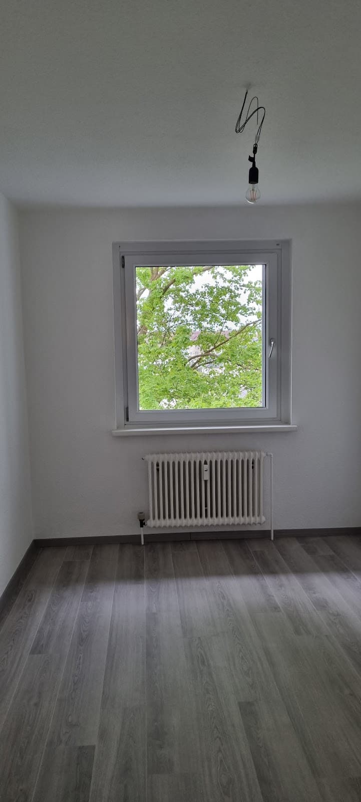 Gute Aussichten*