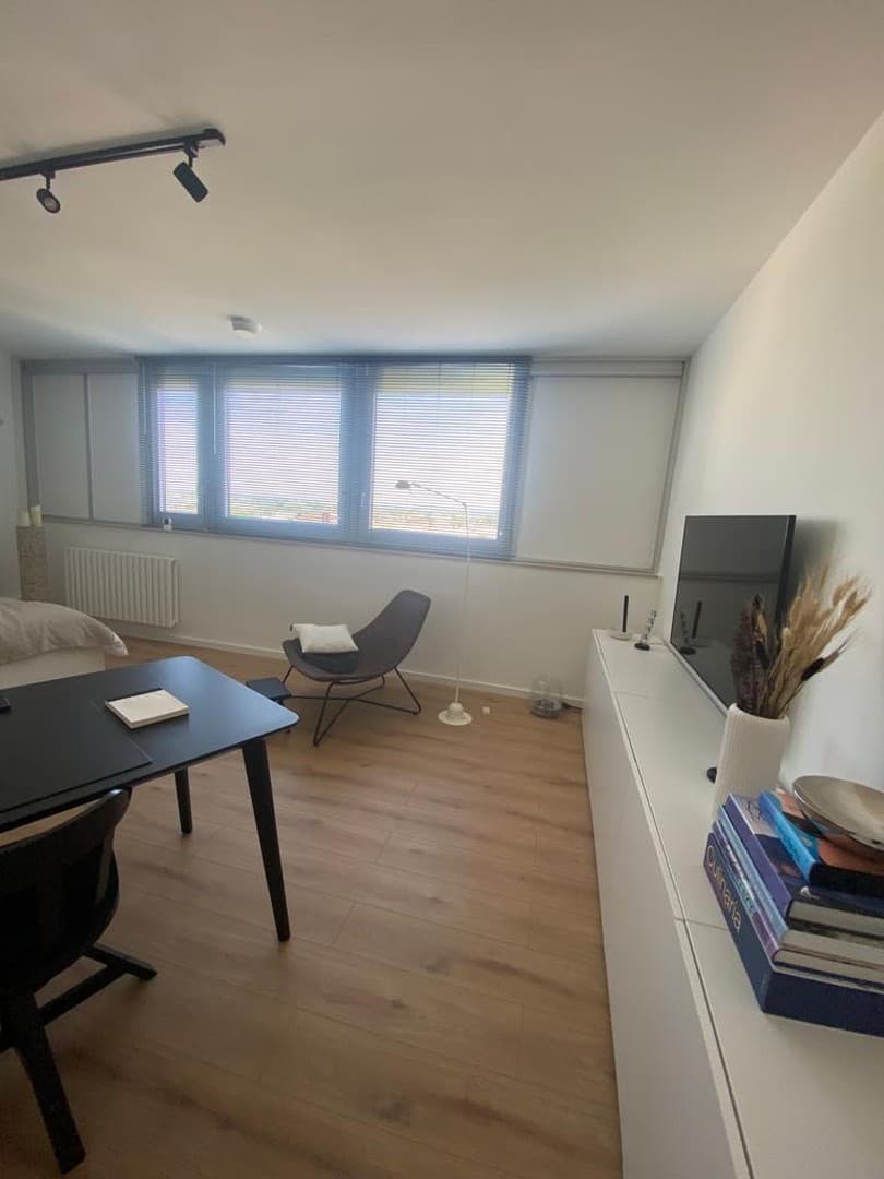 Wohn- / Schlafzimmer