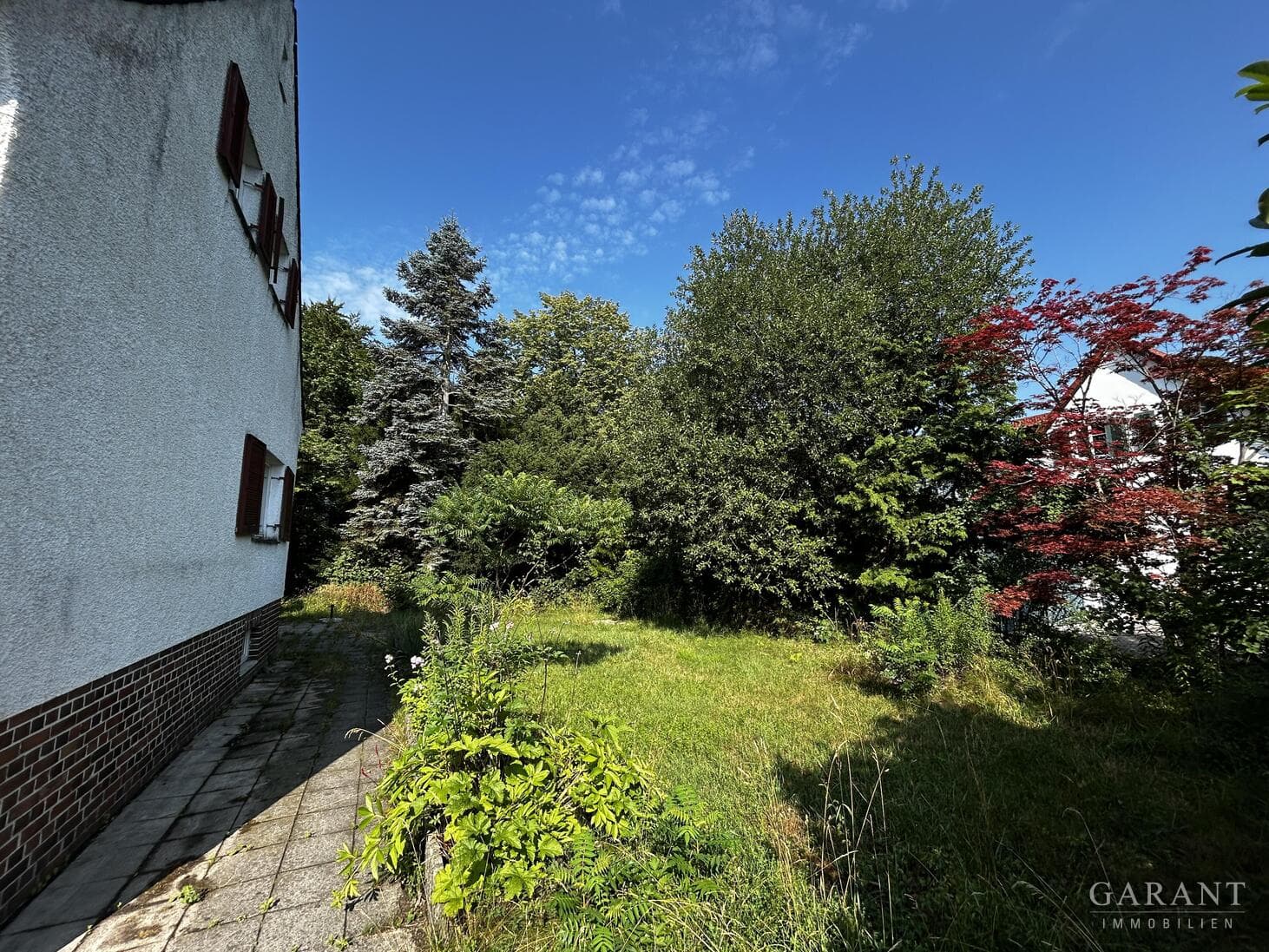 Blick ins Grüne