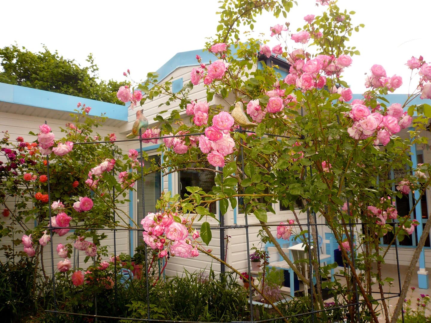 Idyllisches Einfamilienhaus in Bungalowstil mit romantischem Rosengarten