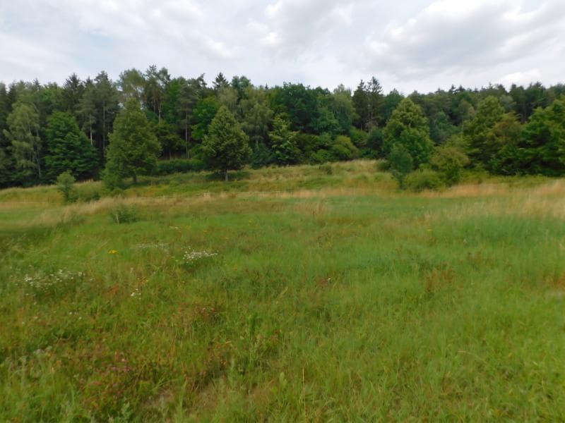 Rittersdorf-Südeifel,nähe Bitburg- vollerschlossenes Baugrundstück