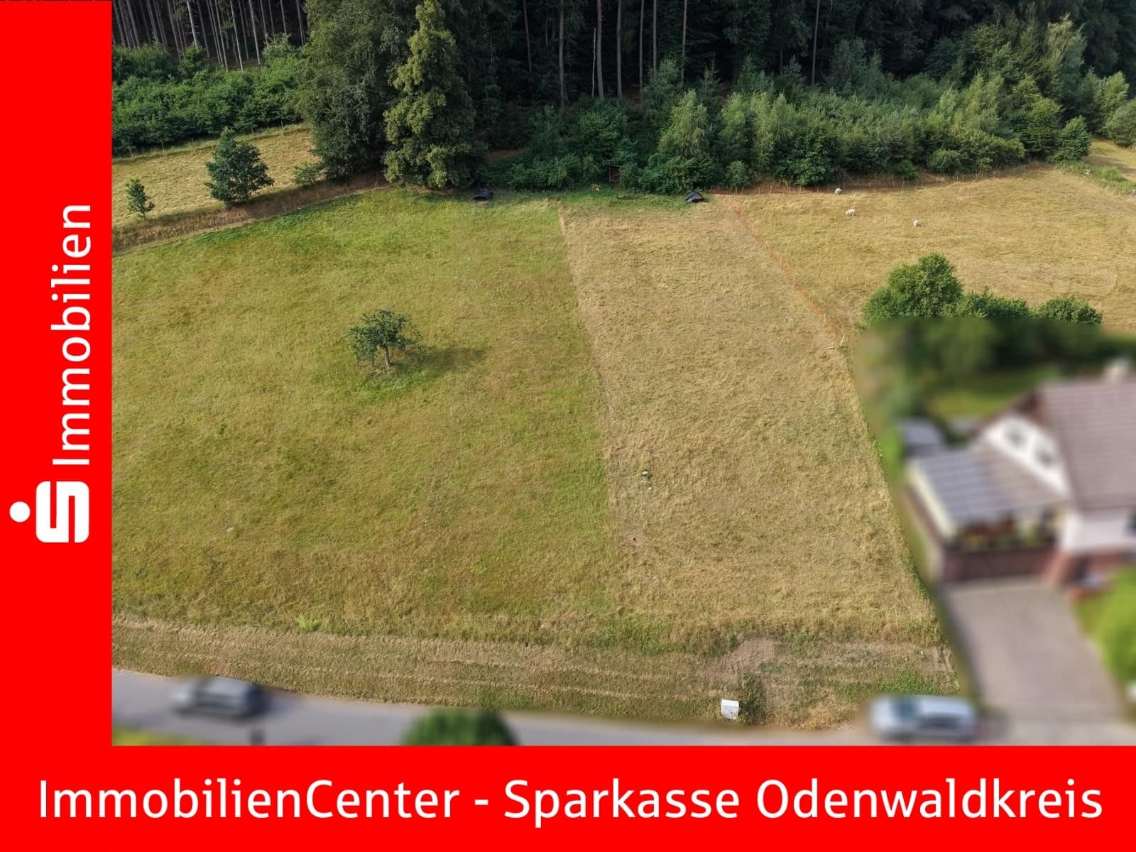 Naturnah wohnen mit Ausblick – 647 m² Baugrundstück in idyllischer Lage von Mossautal