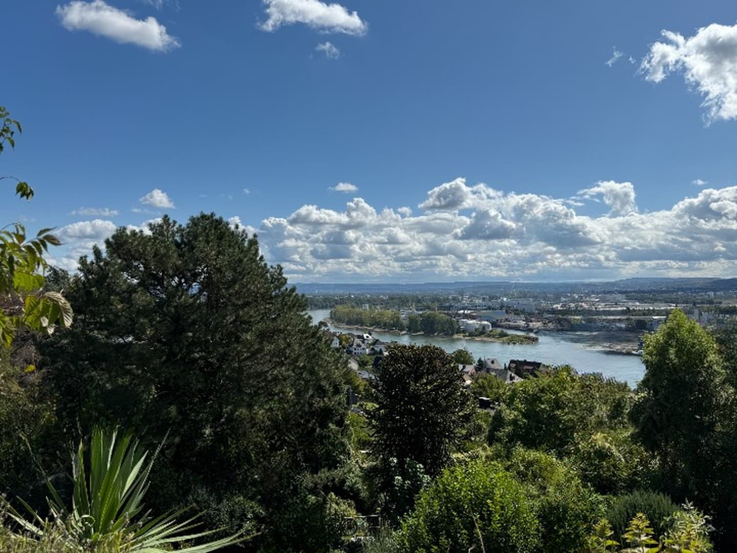 Traumhafte Terrassenwohnung mit Rheinblick & Naturpark vor der Tür
