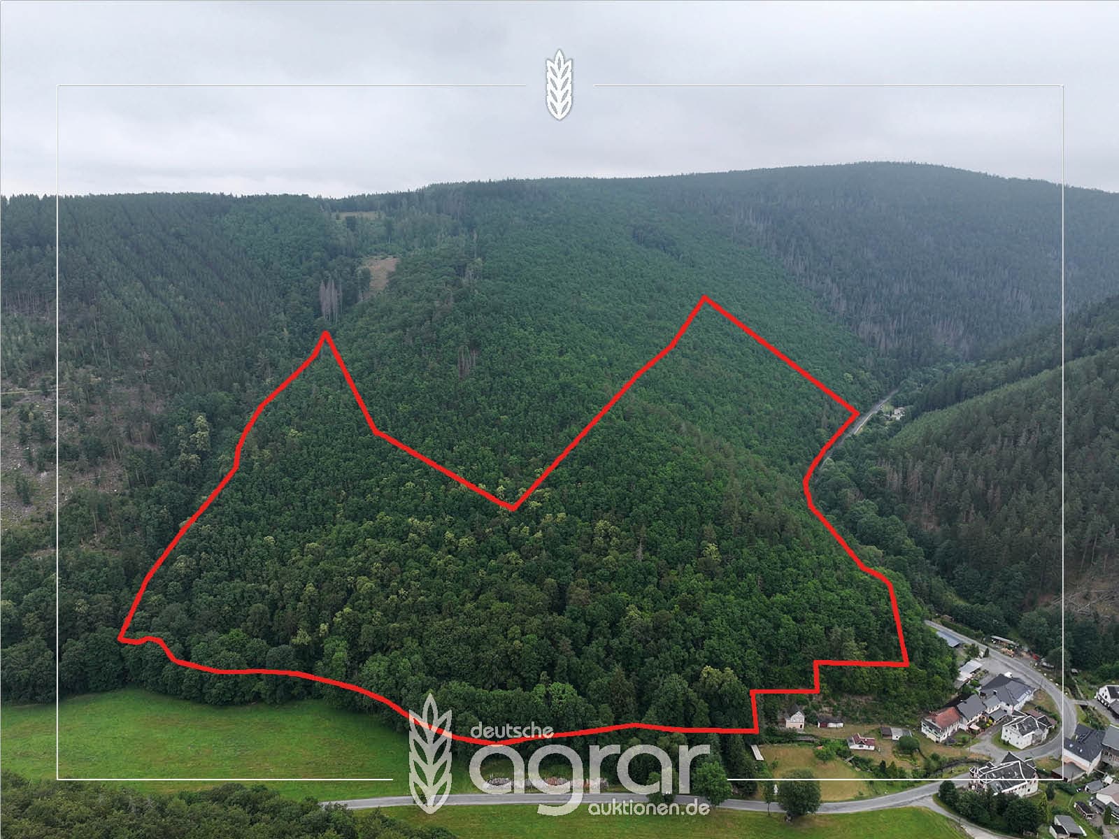 Vielseitiger Eichen-Buchen-Nadelmischwald (ca. 15 ha) im Sorbitztal süd-westlich von Bad Blankenburg