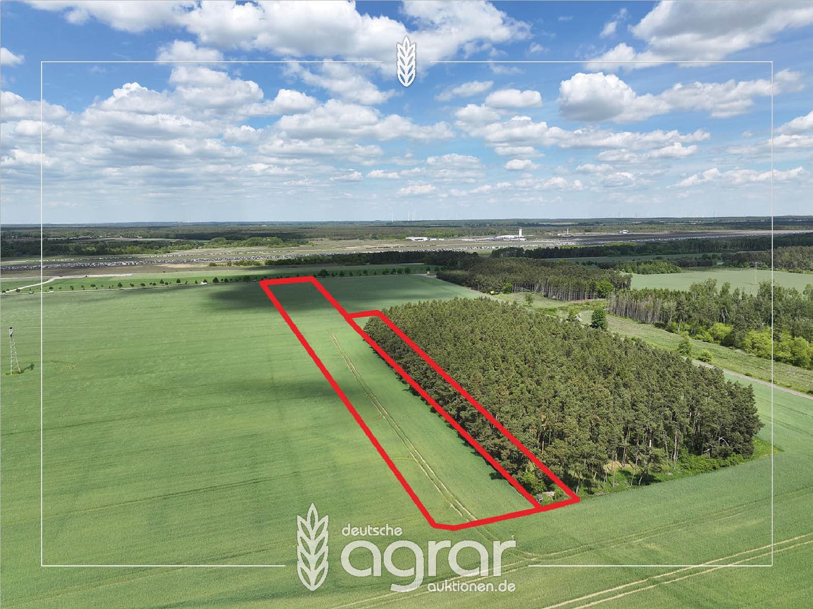Pachtfreier Acker mit kleinem Waldanteil (ca. 3,7 ha) gegenüber des Flughafens Schwerin-Parchim