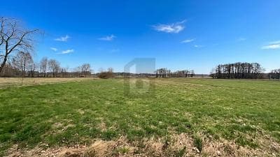 SONNIGES WEIDEPARADIES FÜR TIERHALTUNG