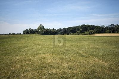 GRÜNLANDFLÄCHE - KAPITALANLAGE MIT PV-POTENTIAL