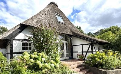 LICHTDURCHFLUTET & OFFENE BAUWEISE UNTER REET