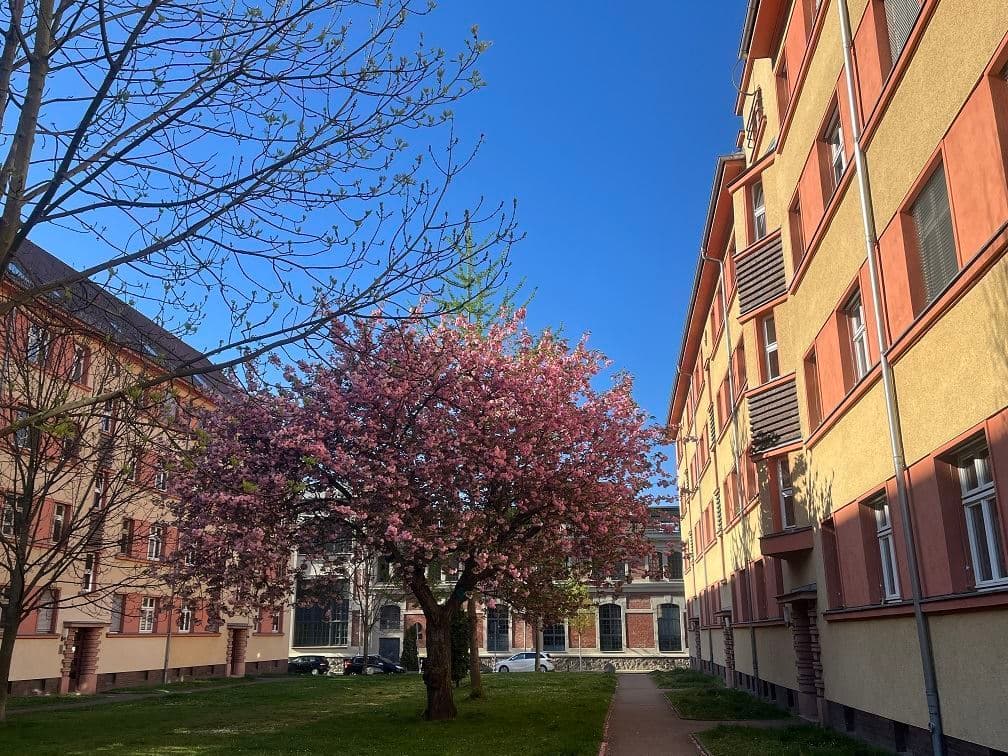 Kapitalanlage- Vermietete 2 Zimmerwohnung mit Balkon in Gohlis