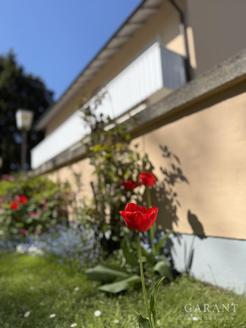 Ein Haus, viele Möglichkeiten - Wohnen, Arbeiten und Kapitalanlage unter einem Dach