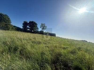 SONNIG, RUHIG & NATURNAH MIT AUSBLICK