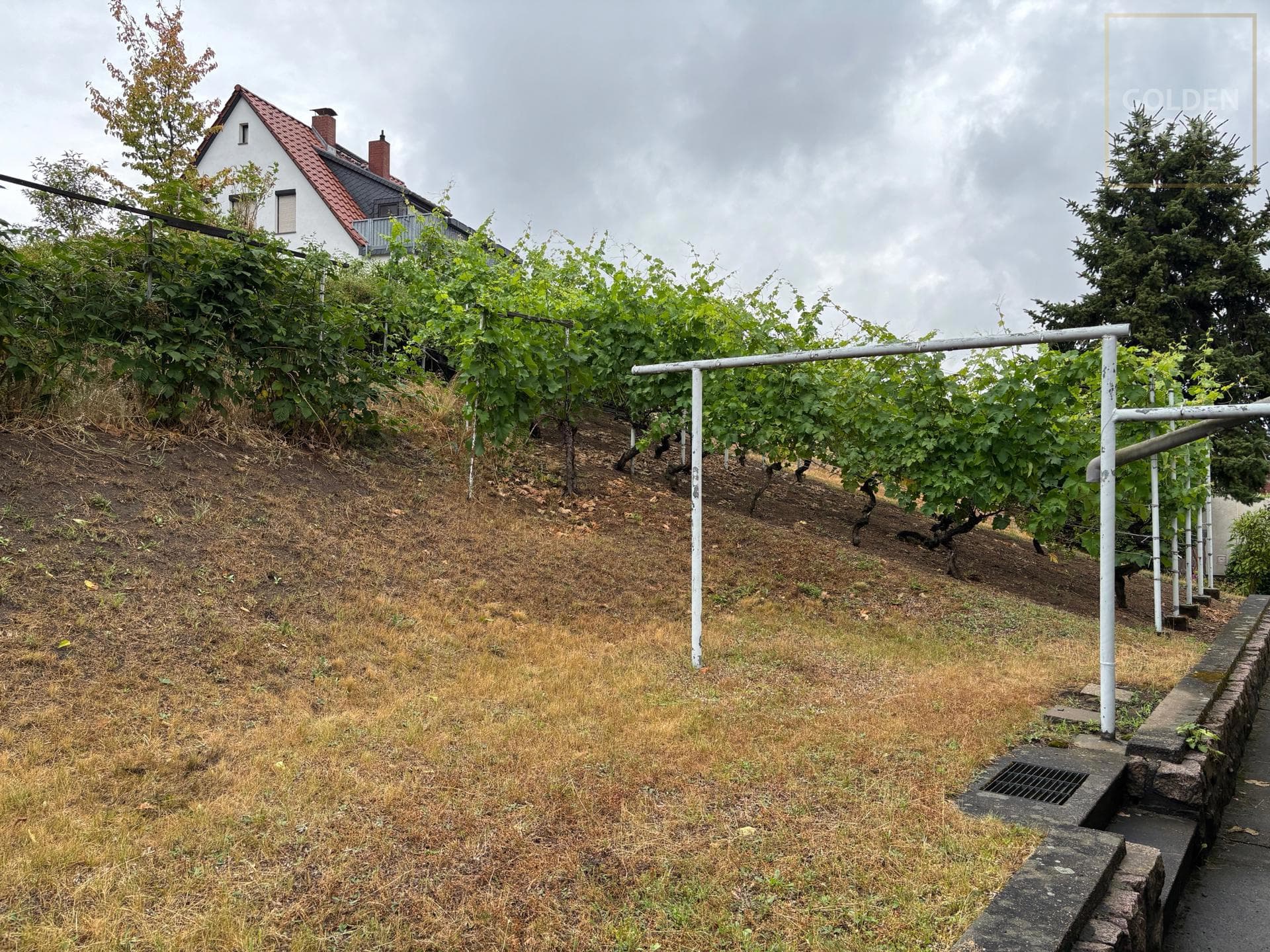 Einfamilienhaus in begehrter Wohnlage mit Weitblick ins Elbtal !!