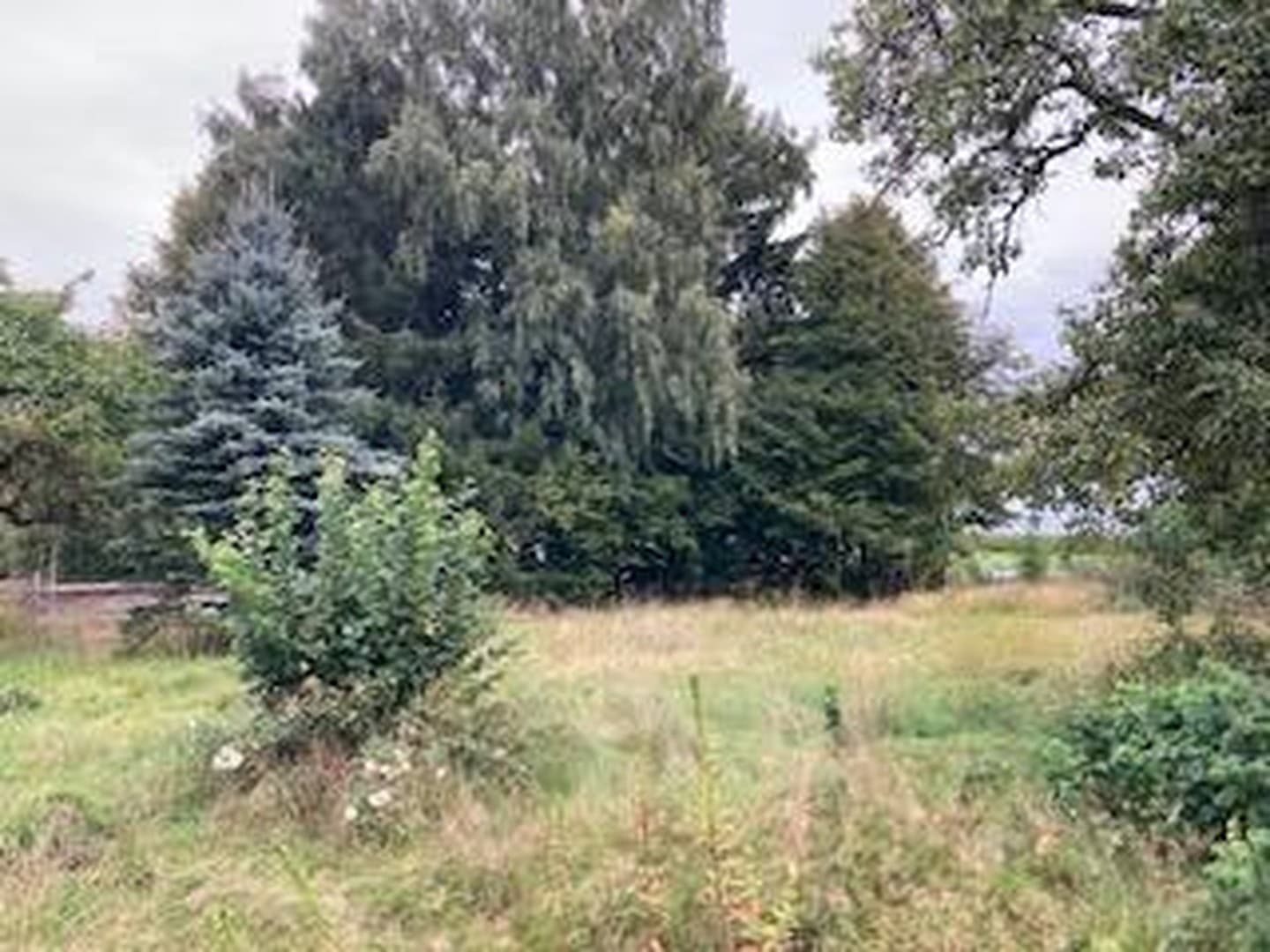 Wohnen im Grünen - Grundstück mit Baugenehmigung für ein Reihenhaus mit 4 Wohneinheiten