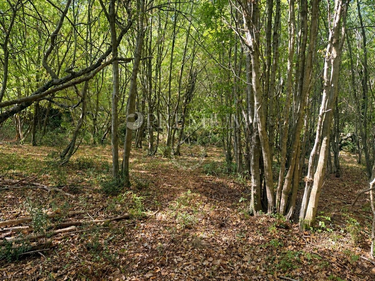 Umgebung von Vrbnik – Baugrundstück!