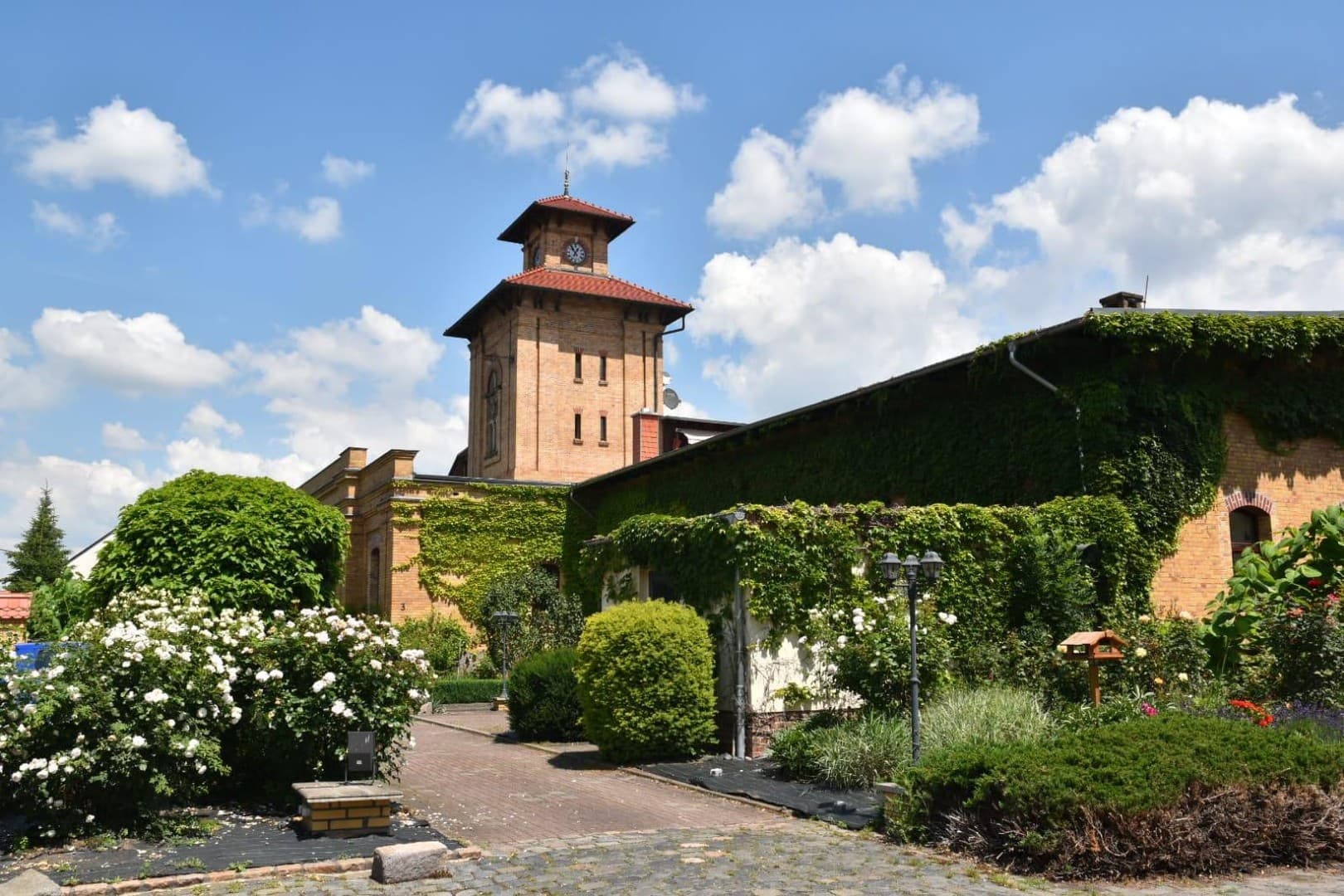 Grünes Leben im Denkmal