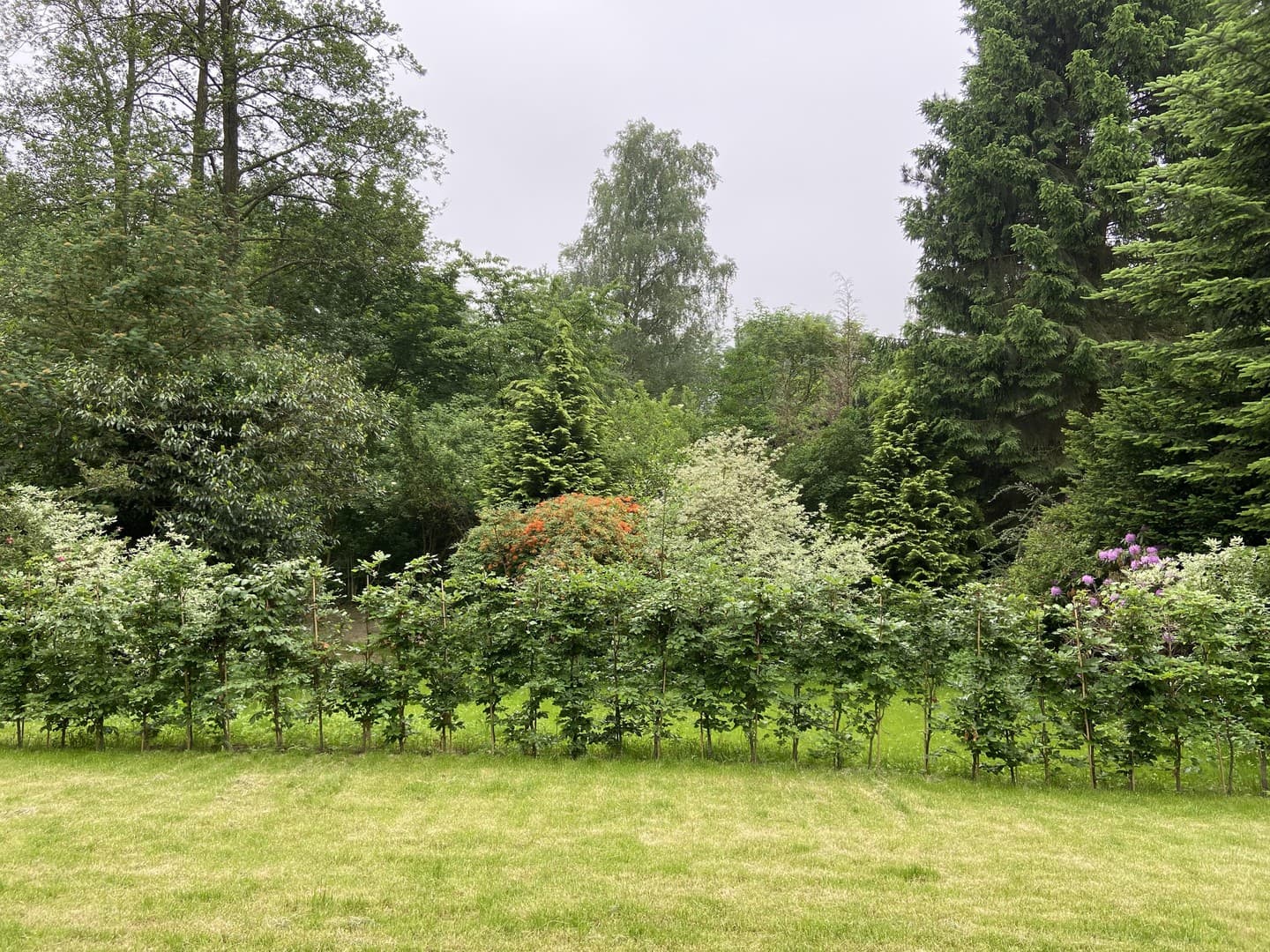 Wunderschöne Neubauwohnung mit eigenem Garten