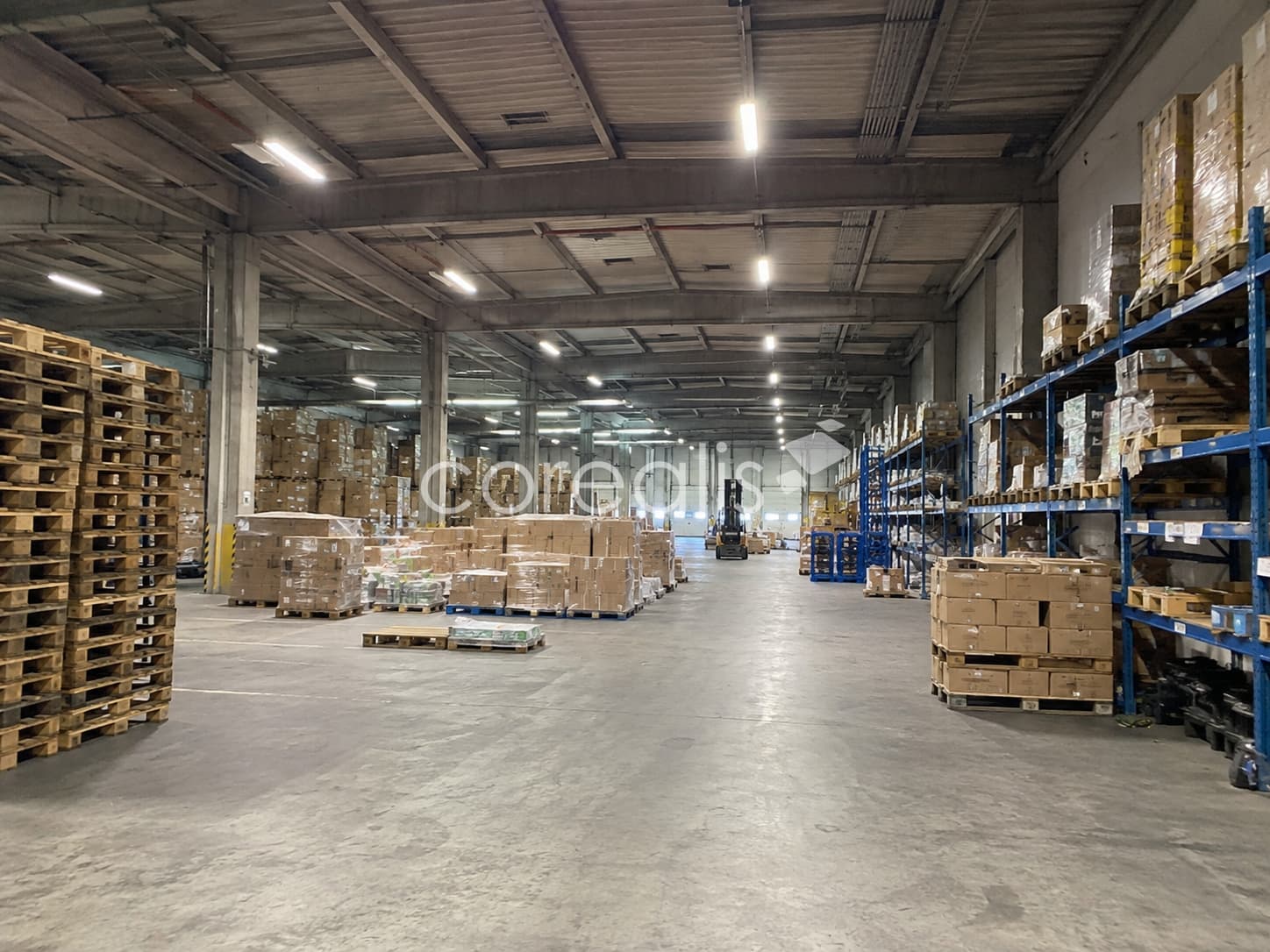 Gevelsberg | ab 1.100 m² Hallenfläche | Rampe | 7 m UKB | A1/A43
