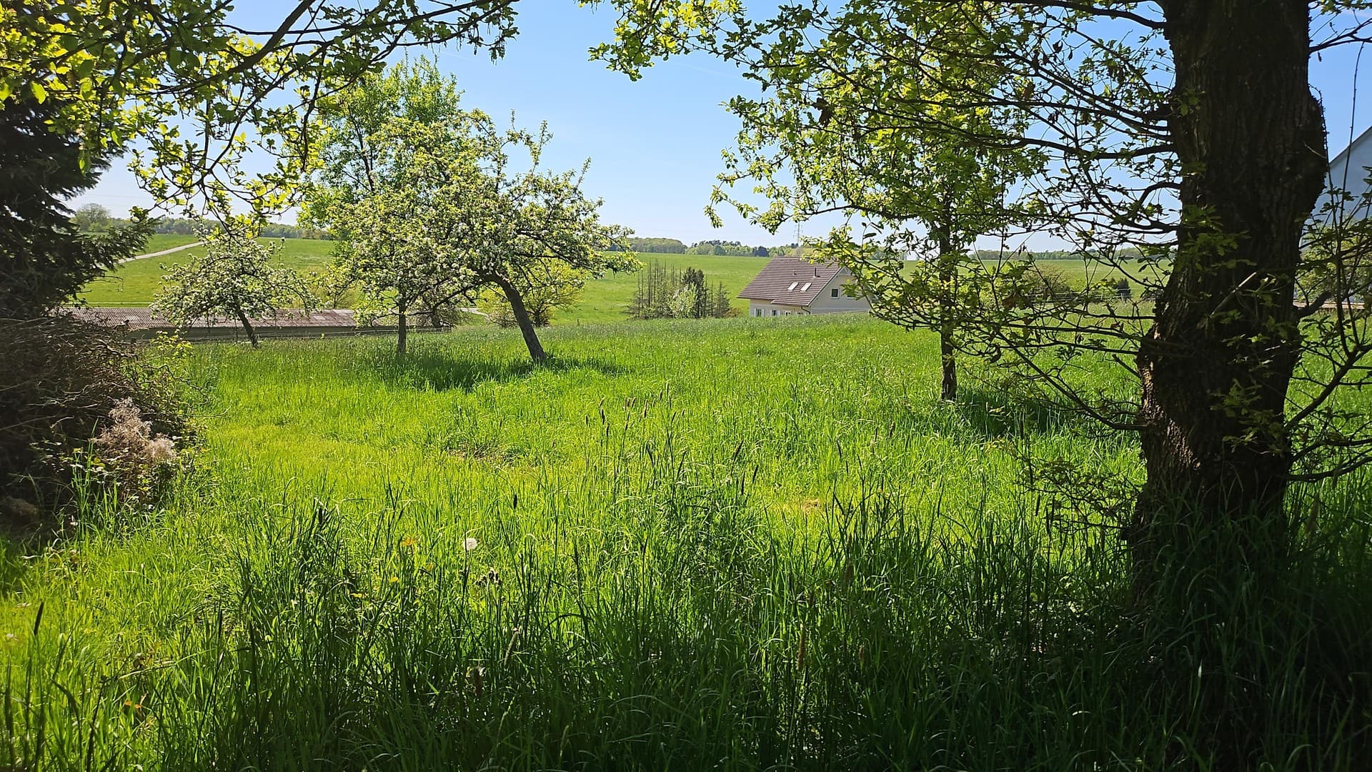 Eckgrundstück mit unverbauten Weitblick Nähe Altenkirchen im Westerwald