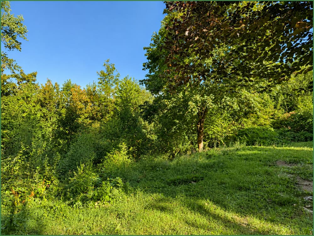 Baugrundstück mit Wald - Erschlossen - in Dabringhausen/Wermelskirchen