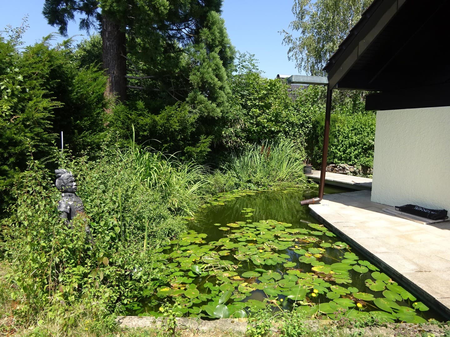 Große Maisonette mit Garten und Biotop