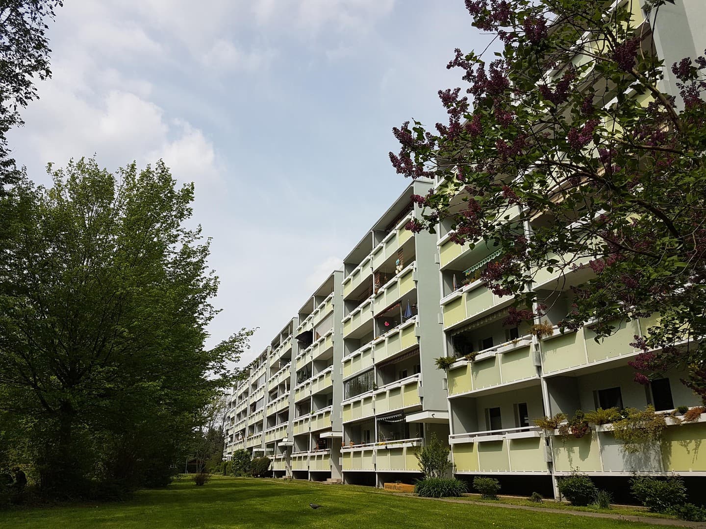 Südbalkon, freier Blick ins Grüne, 4Raumwohnung